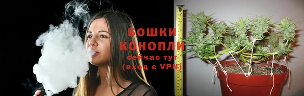 крисы Новокубанск