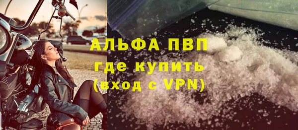 крисы Новокубанск