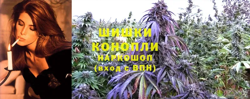 Бошки марихуана Bruce Banner  Козьмодемьянск 